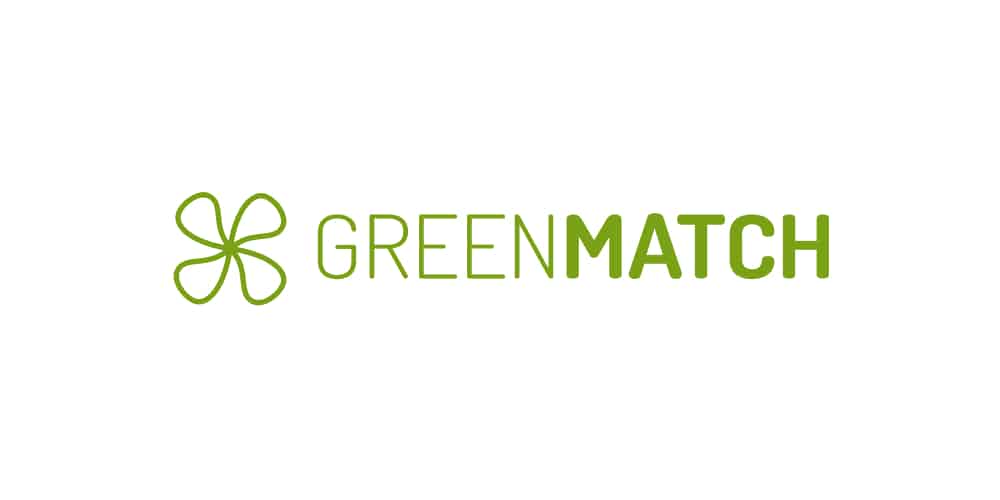 Greenmatch case